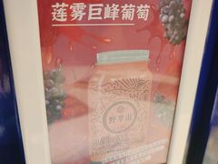 -野萃山·潮汕厚果汁(十亩地店)