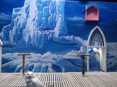 -成都浩海立方海洋公园