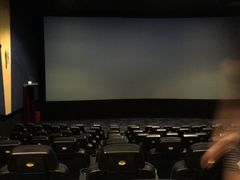 -AMG海上明珠影城(上海环球港RealDCinema店)