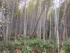 -法云安缦酒店