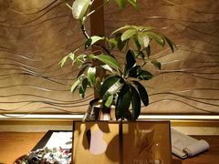 -浅深(北京北四环精品店)