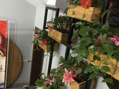 -老关东东北菜(盐城店)