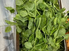 -麒麟豆汤圆子火锅(川心小区店)