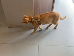 -Again Coffee Roaster(香蜜湖店)