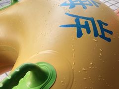 -黄金海岸水上乐园