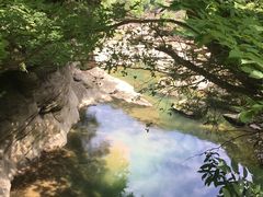 -黎坪国家森林公园