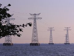 -宝安西湾红树林湿地公园