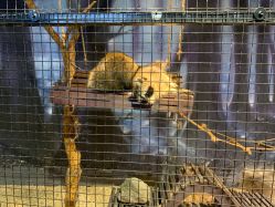 -酷嗒动物文化乐园(cutezoo西溪乐天城店)