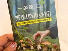 -一朵菌·野生菌探索家火锅(南亚店)