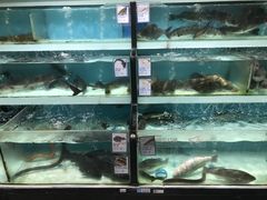 -盒马鲜生(顺义店)