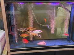 -老杨头烧烤(博烤堂店)