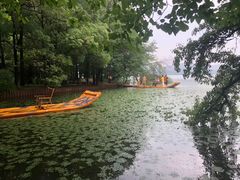 -东湖落雁景区