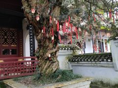 -常德桃花源景区