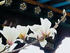 -迎泽公园