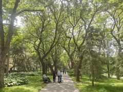 -玲珑塔公园