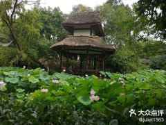 -桂湖森林公园