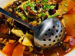 香辣毛血旺-東舍食唐精品陕菜馆