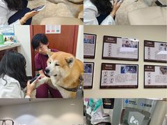 -美联众合动物医院·24h转诊中心