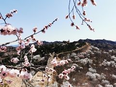 -蟠龙山长城景区