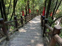 -九鲤湖风景区