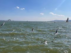 -海埂大坝
