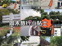 -橘子洲景区