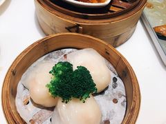 虾饺-港禧茶餐厅(美莲广场店)