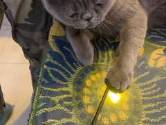 -平行世界·猫咖(首经贸店)
