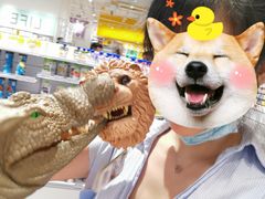 -KKV(深圳宏发大仟里店)