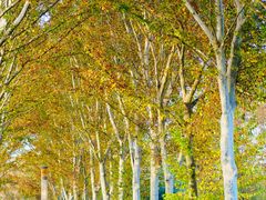 -河南省黄河迎宾馆