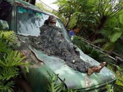 -厦门方特梦幻王国