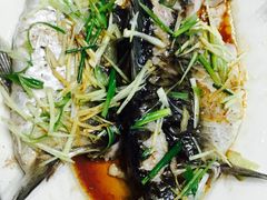 -有腥气私房菜·寻味顺德