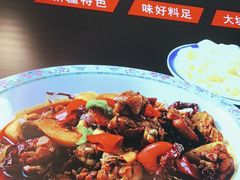 -丝路伊兰·兰州牛肉面(马连道店)