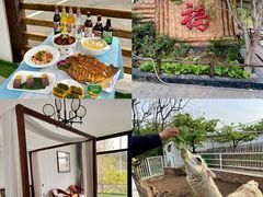 -丽泽山庄·生态怀柔菜·虹鳟鱼(红螺寺店)