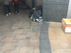 -华润万家标超南区(兰亭国际分店)