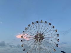 -奉贤海滩