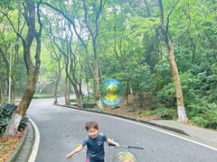 -广州市帽峰山景区