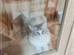 -白兔子密室(长寿路店)