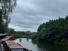 -溱湖国家湿地公园