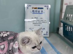-达爱动物医院·犬猫分区·CT·复杂眼科(远洋山水分院)