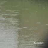 武汉果乐小镇钓小龙虾，有和我一样的童年吗？