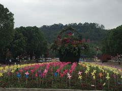 -东南花都花博园