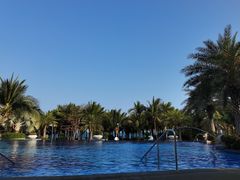 -味餐厅·海鲜·火锅·自助餐