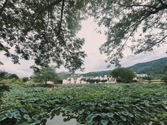 -呈坎景区