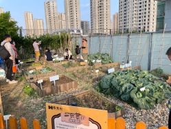 -造物庄园 萌宠纪(苏州湾歌林公园店)