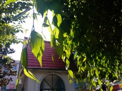 -武汉大学人民医院(首义院区)