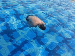 -惠州金海湾嘉华度假酒店