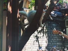 -VOYAGE COFFEE(杨梅竹店)