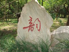 -大港湿地公园