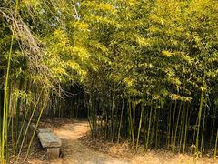 -竹泉村旅游度假区